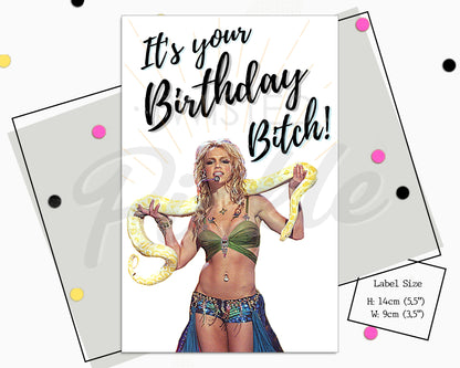 Britney Spears Birthday Bitch Wine Label